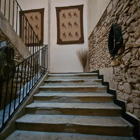 Le Nid Des Oiseaux *