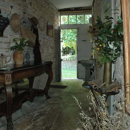 Le Nid Des Oiseaux *