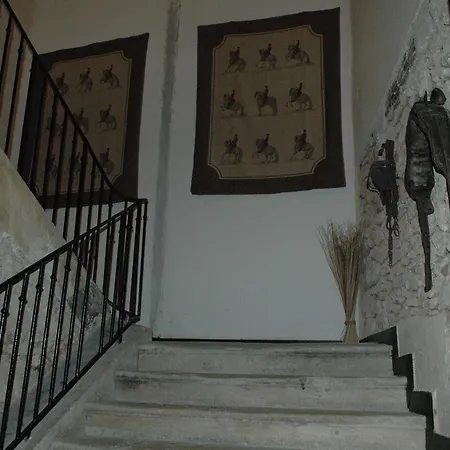 Le Nid Des Oiseaux Tatil Evi