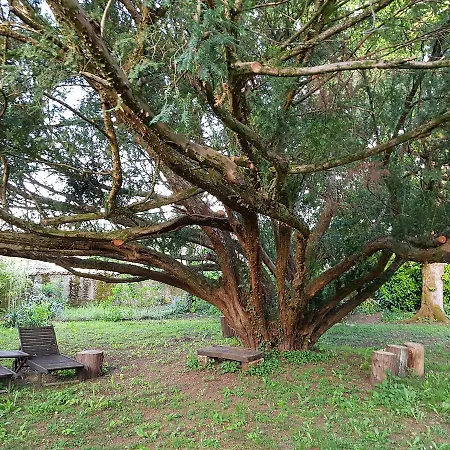 Le Nid Des Oiseaux Cubjac