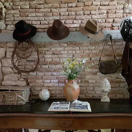 Tatil Evi Le Nid Des Oiseaux Cubjac