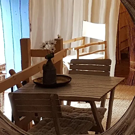 Le Nid Des Oiseaux *