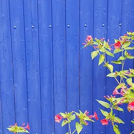 Le Nid Des Oiseaux Сasa de vacaciones