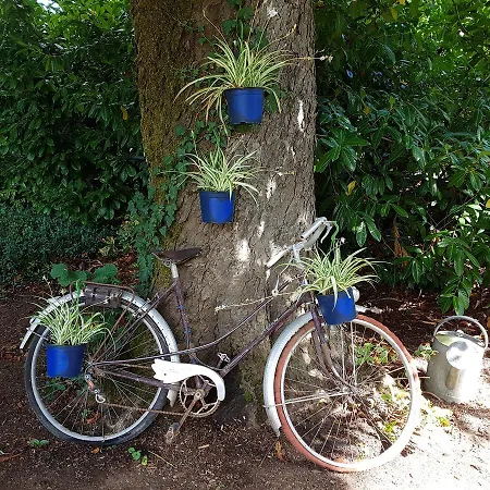 Le Nid Des Oiseaux Holiday home