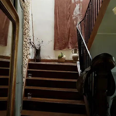 Le Nid Des Oiseaux *