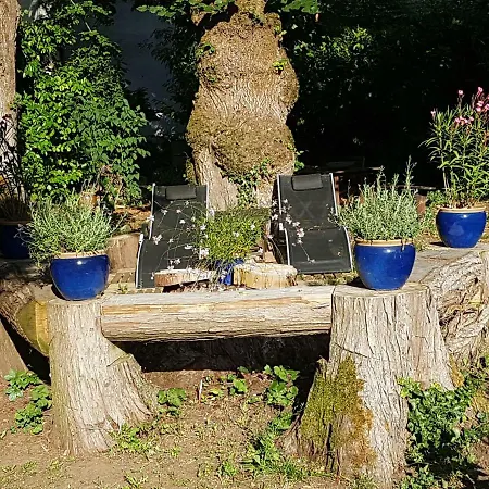 Vakantiehuis Le Nid Des Oiseaux *