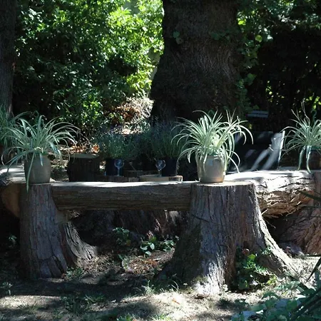 Holiday home Le Nid Des Oiseaux