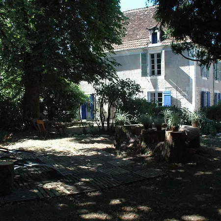 Le Nid Des Oiseaux *