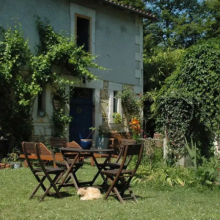 Le Nid Des Oiseaux *