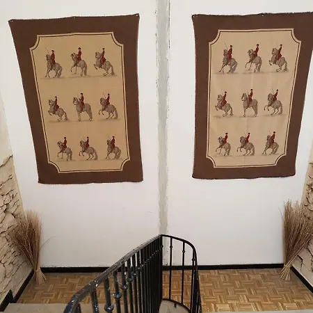 Le Nid Des Oiseaux *