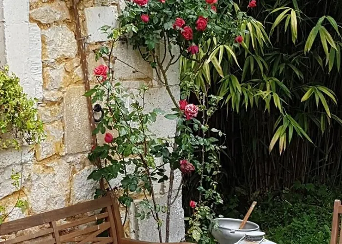 Le Nid Des Oiseaux *