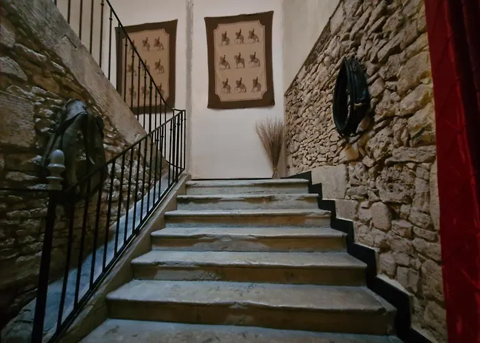 Le Nid Des Oiseaux *