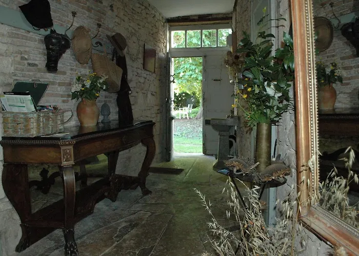 Le Nid Des Oiseaux *