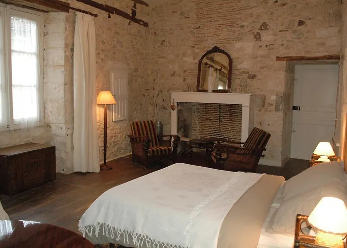 Tatil Evi Le Nid Des Oiseaux *