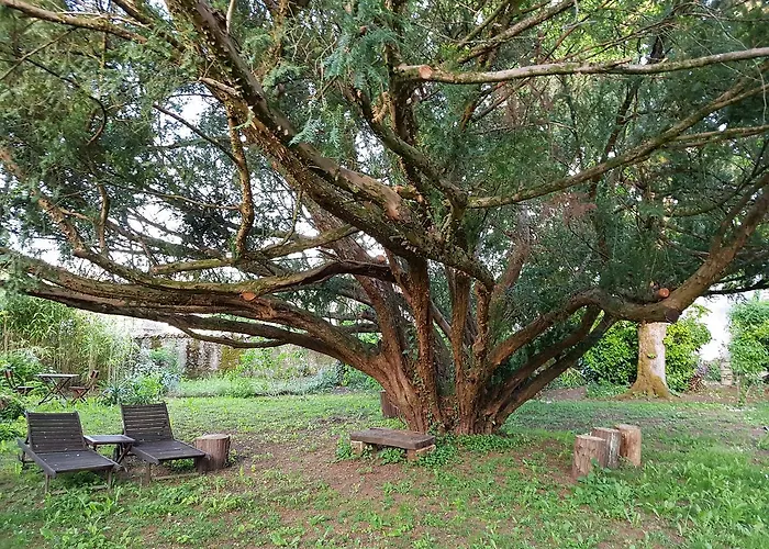 Le Nid Des Oiseaux Cubjac