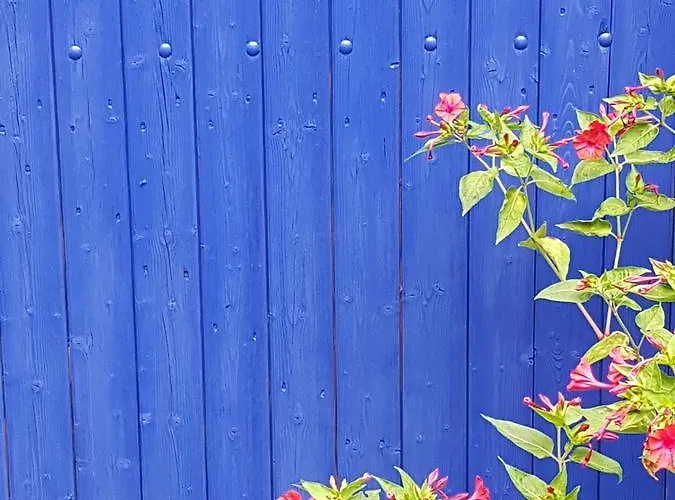 Le Nid Des Oiseaux Tatil Evi