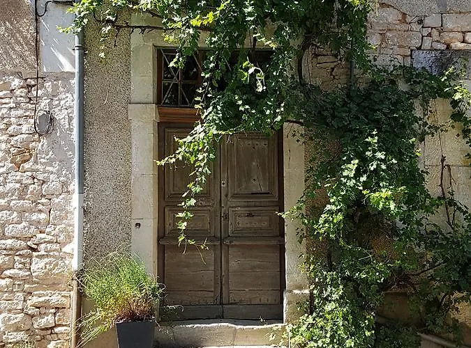 Tatil Evi Le Nid Des Oiseaux *