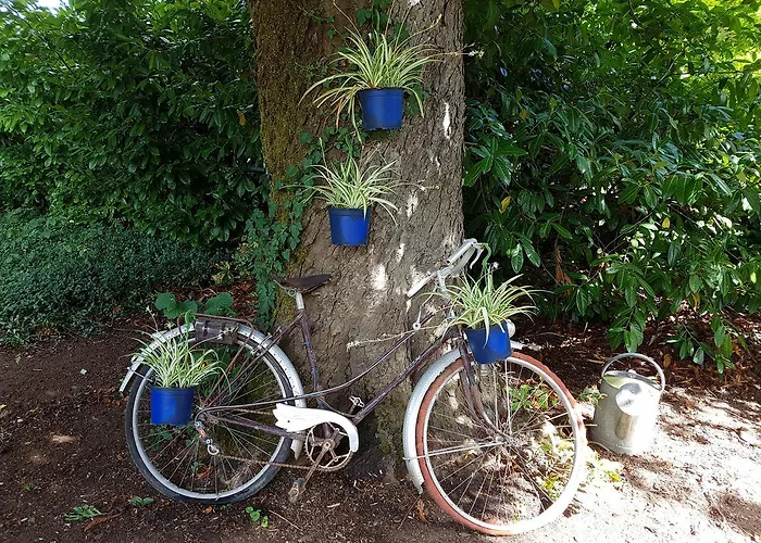 Le Nid Des Oiseaux Tatil Evi