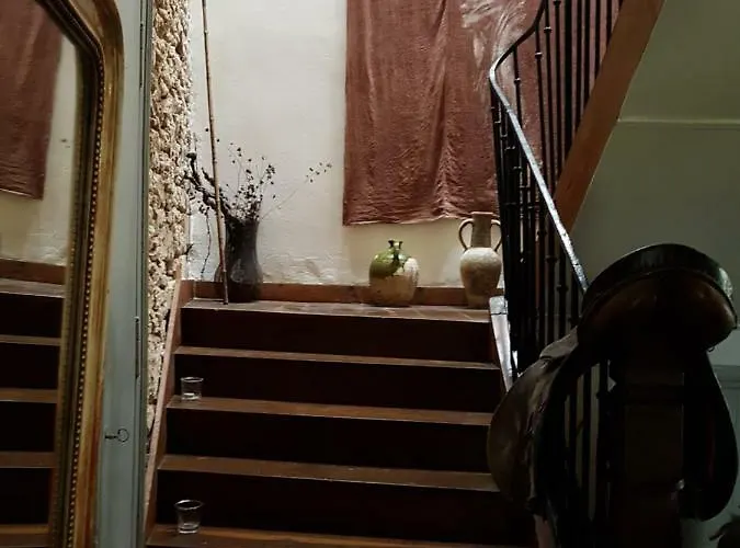 Le Nid Des Oiseaux *