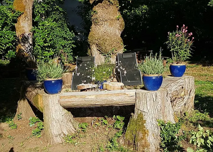 Tatil Evi Le Nid Des Oiseaux *