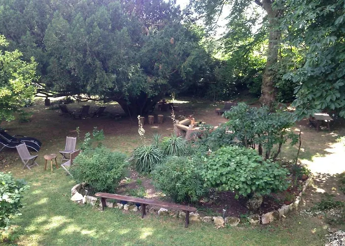 Tatil Evi Le Nid Des Oiseaux