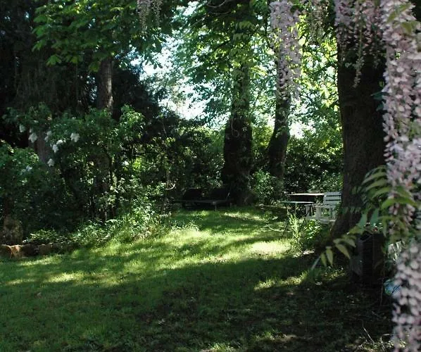 Tatil Evi Le Nid Des Oiseaux