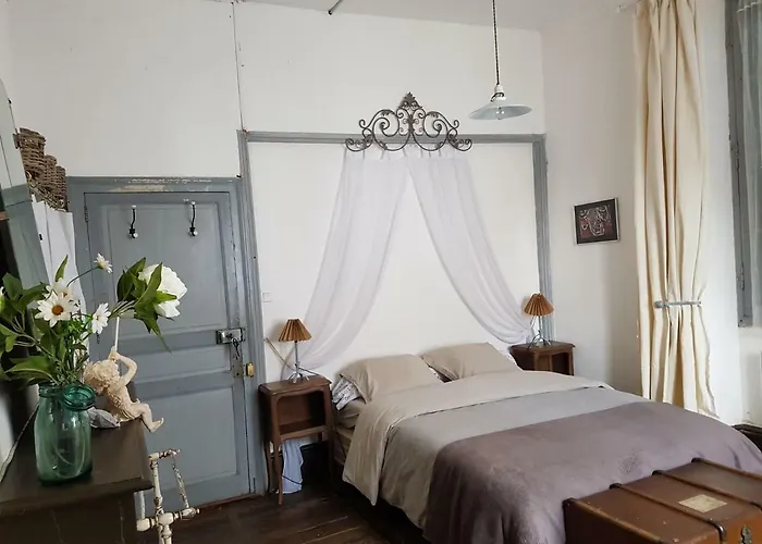 Tatil Evi Le Nid Des Oiseaux *