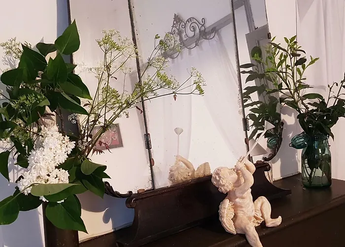 Tatil Evi Le Nid Des Oiseaux *