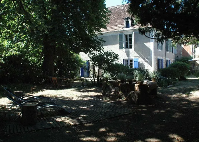 Le Nid Des Oiseaux *