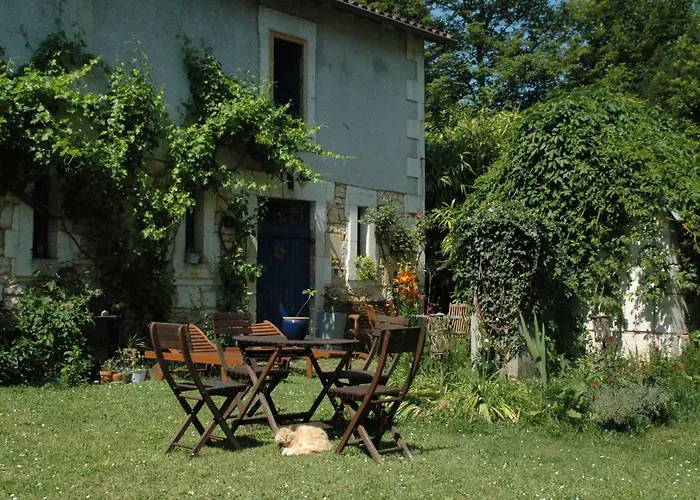 Le Nid Des Oiseaux *