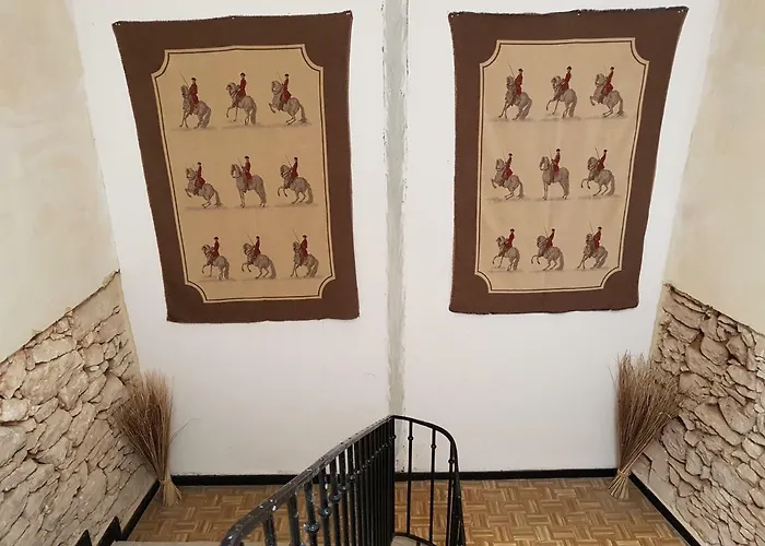 Le Nid Des Oiseaux *