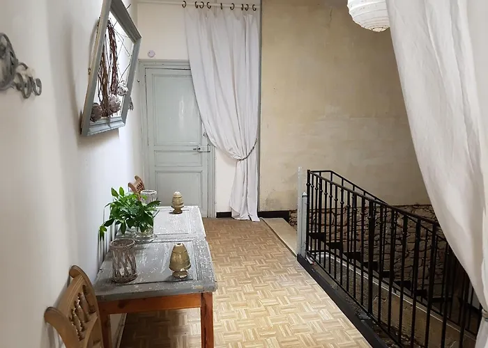 Le Nid Des Oiseaux *